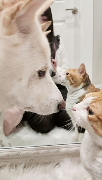 Full leaked Dmoe private onlyfans photo