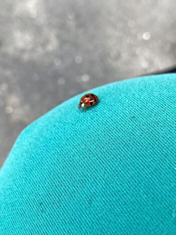 Full leaked Aby dazai private onlyfans photo