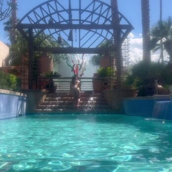 Full leaked Addison rae  page private onlyfans photo