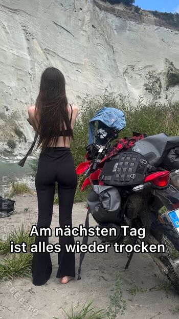 affe_auf_bike