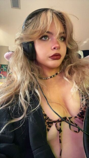 aiiygatorz