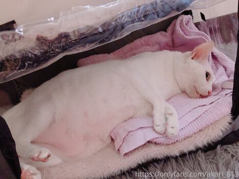 Full leaked Akari private photo