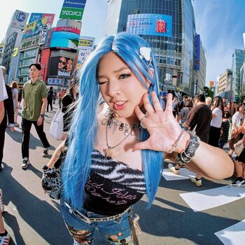 Akidearest