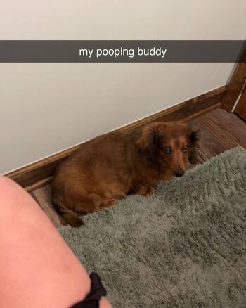 Full leaked Alyssaholmes page private onlyfans photo