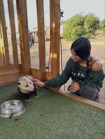 Full leaked Amanda sebastian page private onlyfans photo