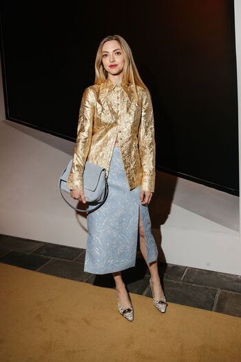 Full leaked Amanda seyfried  page private onlyfans photo