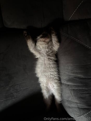 Full leaked Ambsjadie private onlyfans photo