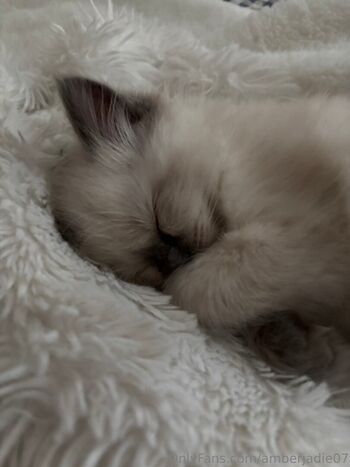 Full leaked Ambsjadie private onlyfans photo