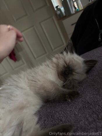 Full leaked Ambsjadie private onlyfans photo