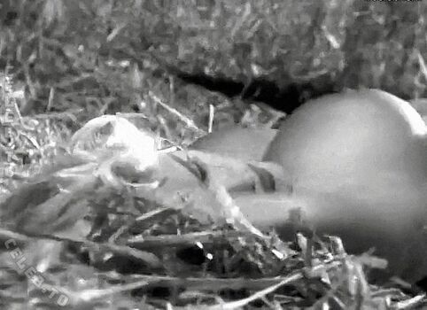 Full leaked Anna nicole smith private photo