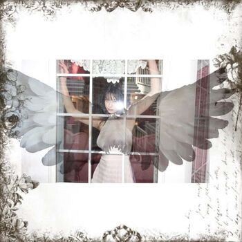 Full leaked Anqilec page private onlyfans photo