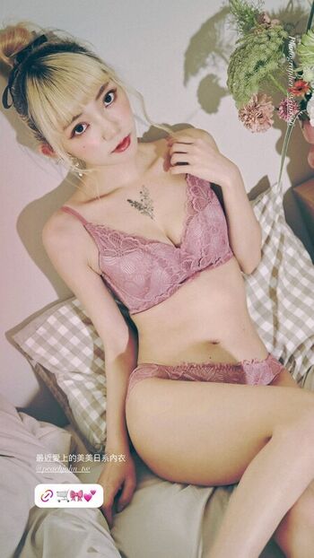 Anshia_flower