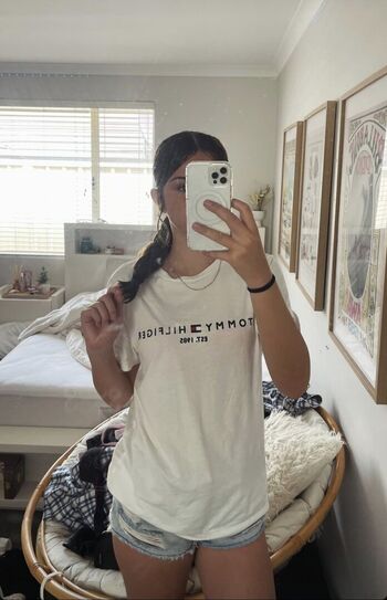 Ari corr