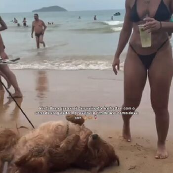 Full leaked Ariane arajo private onlyfans photo