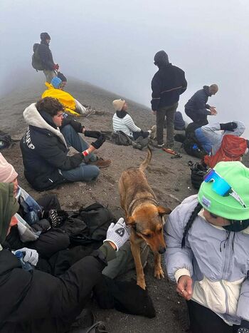 Full leaked Arienne monteclar private onlyfans photo