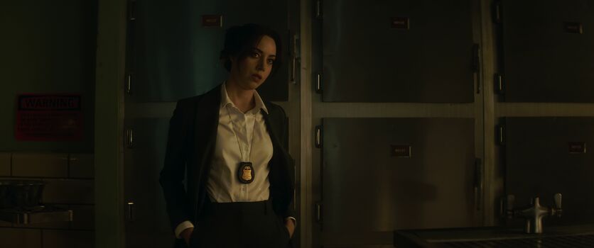 Full leaked Aubrey plaza private photo