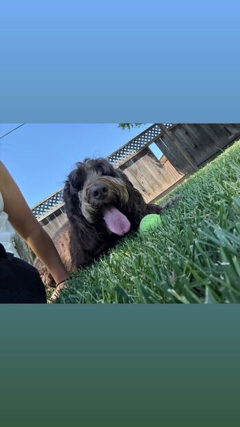 Full leaked Bayley page private onlyfans photo