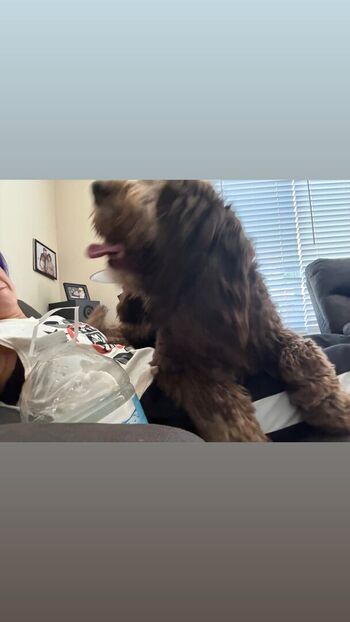 Full leaked Bayley page private onlyfans photo