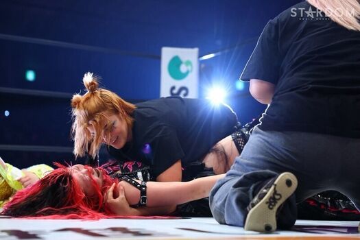 Bea Priestley