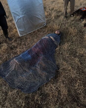 Full leaked Bella poarch private photo