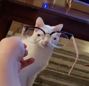 Full leaked Bjdmuse private photo
