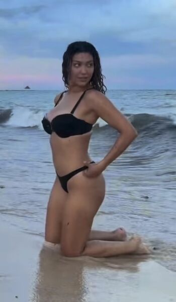 Bryceideeleos