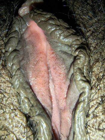 Full leaked Buceta private onlyfans photo