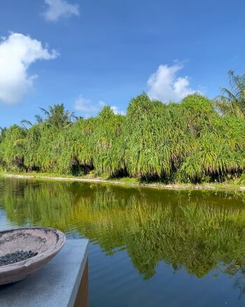 Full leaked Bxby margo private onlyfans photo