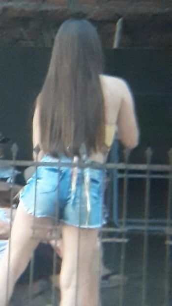 Candid Brasil