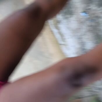 Candid Brasil