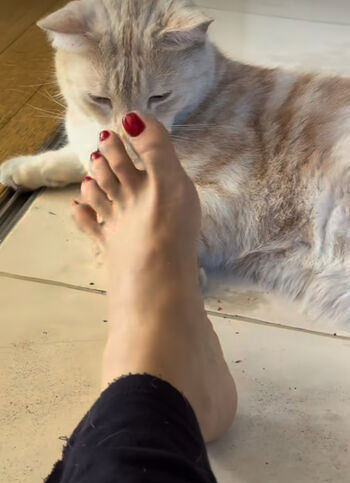 Full leaked Celebrity feet private photo