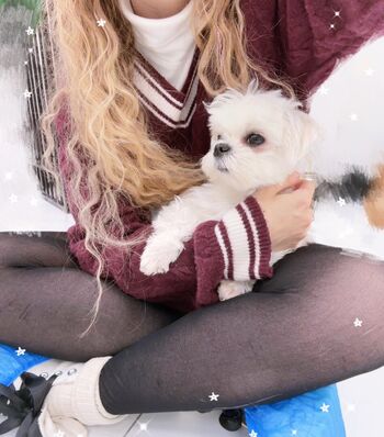 Full leaked Josy black/ private photo