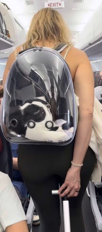 Full leaked Charity eden private photo