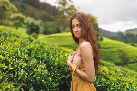 Full leaked Cjfans  page private onlyfans photo