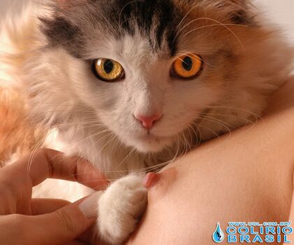 Full leaked Colrio brasil page private onlyfans photo