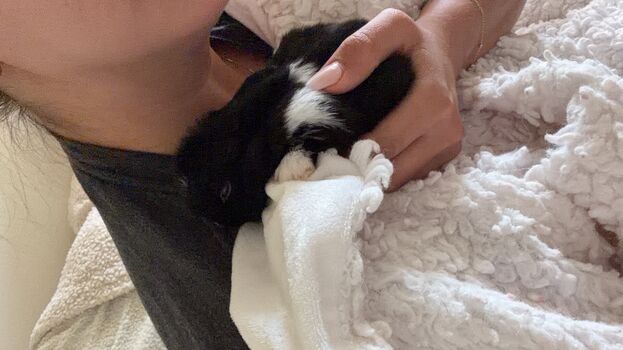 Full leaked Dahnikz private onlyfans photo