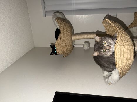 Full leaked Dahnikz private onlyfans photo