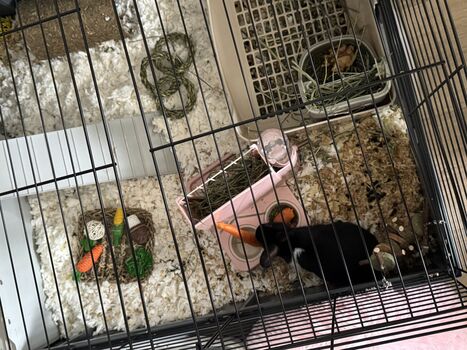 Full leaked Dahnikz private onlyfans photo