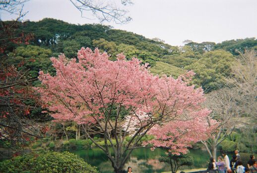 Full leaked Dosya gasai private onlyfans photo