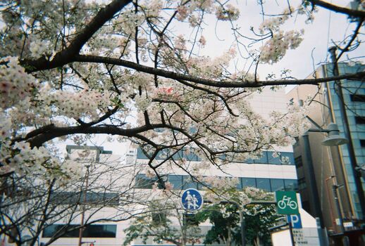 Full leaked Dosya gasai private onlyfans photo