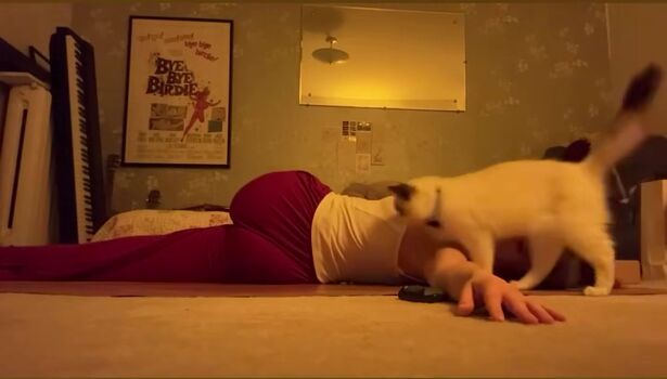 Full leaked Ella ballentine private onlyfans photo