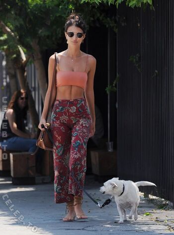 Full leaked Emily ratajkowski page private photo