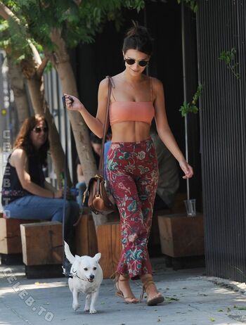 Full leaked Emily ratajkowski page private photo
