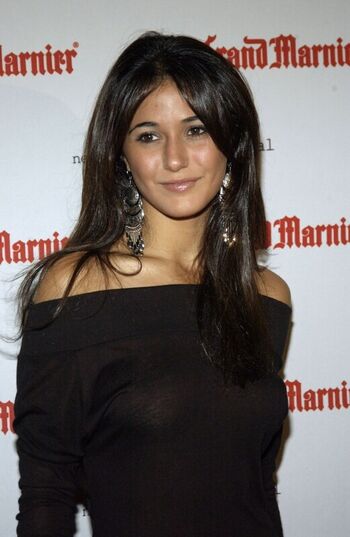 Full leaked Emmanuelle chriqui private photo