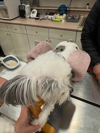 Full leaked Ena private onlyfans photo