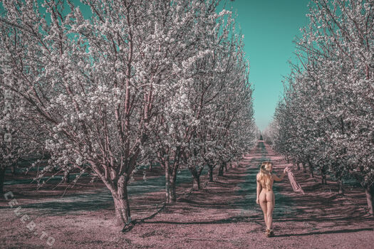 Full leaked Faerie private photo