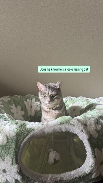 Full leaked Fairywink page private photo