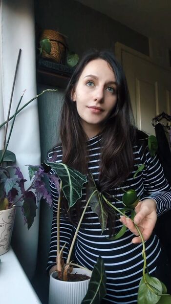 Full leaked Falseangelx private onlyfans photo