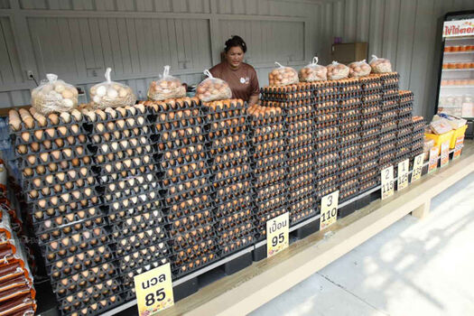 Full leaked Feeh hanzen private onlyfans photo