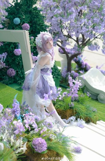 g44gallery